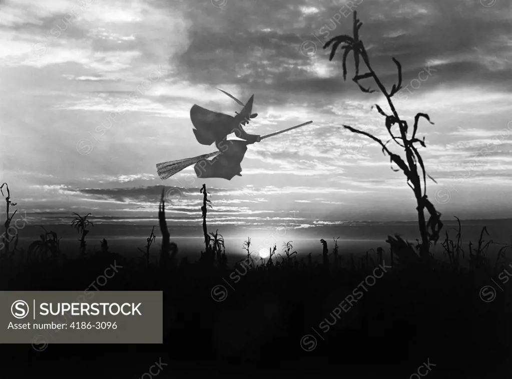 Sunset Over Cornfield With Silhouette Of Witch On Broomstick Flying Through The Sky