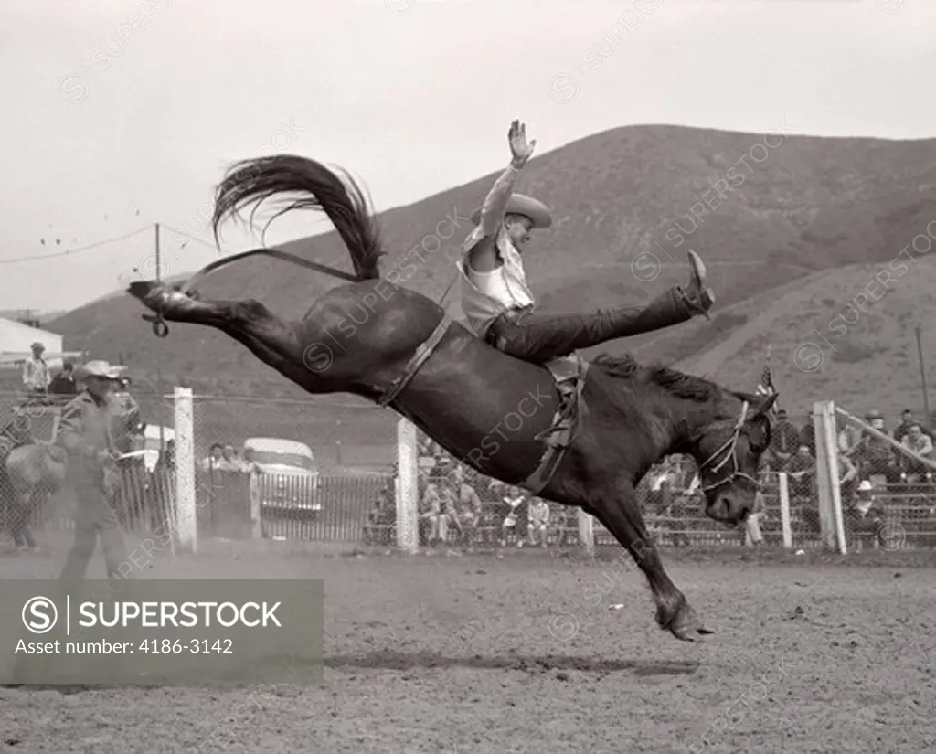1950S Cowboy Bronco Buster Riding Horse California 1953
