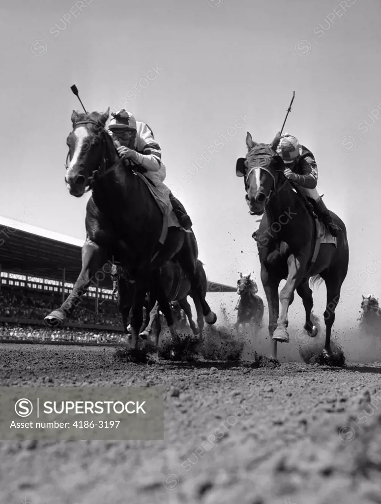 1960S Worm'S-Eye View Of Horse Race With 2 Leaders Galloping Toward Camera