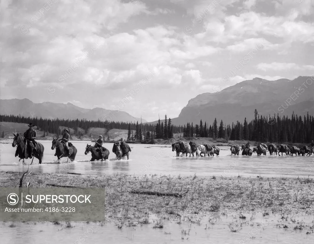 1930S Group Four Men Riding Horses Through Shallow End Of River Trailing Line Of Horses Behind Horse River Alta