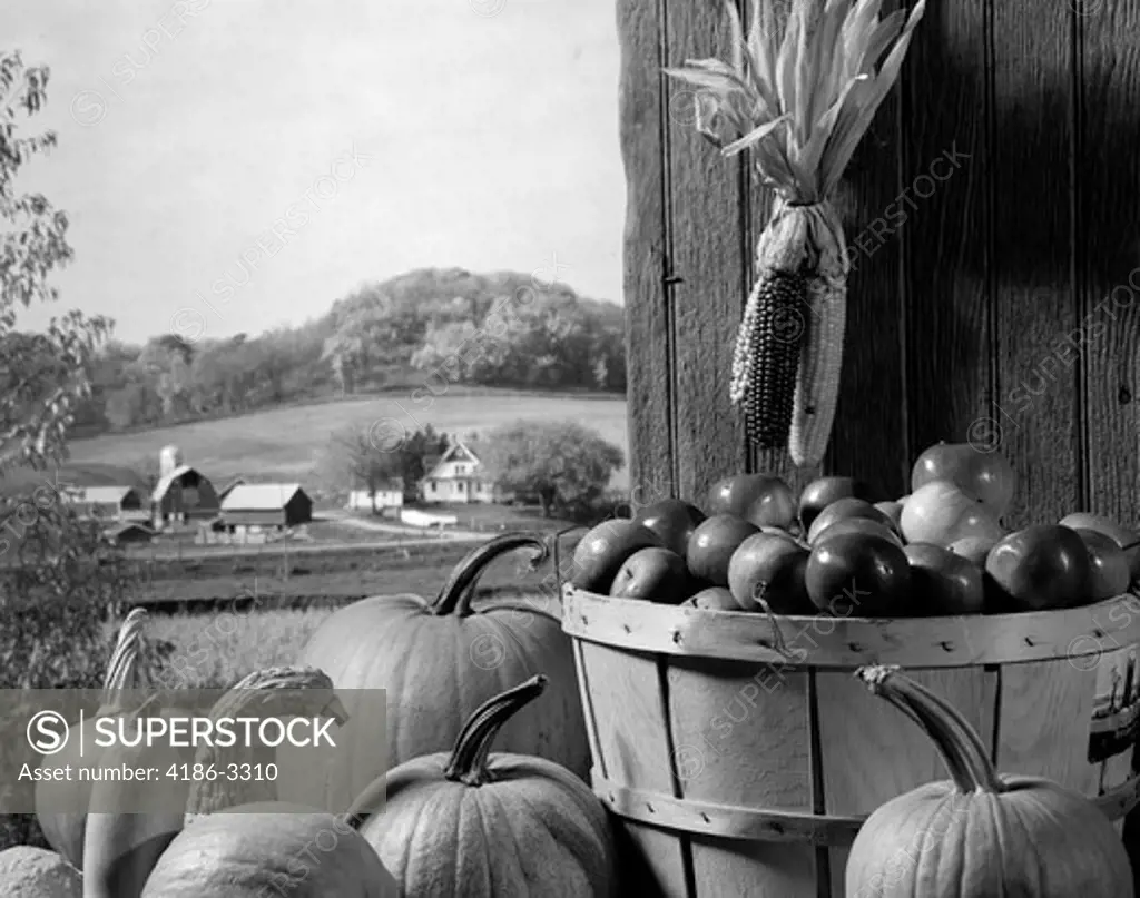 1960S Barn Door Corn Apples Pumpkins Autumn Harvest Time