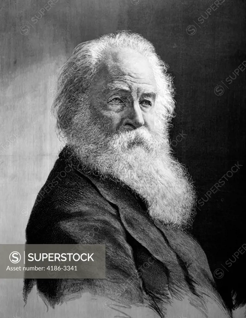 Illustration Portrait Walt Whitman