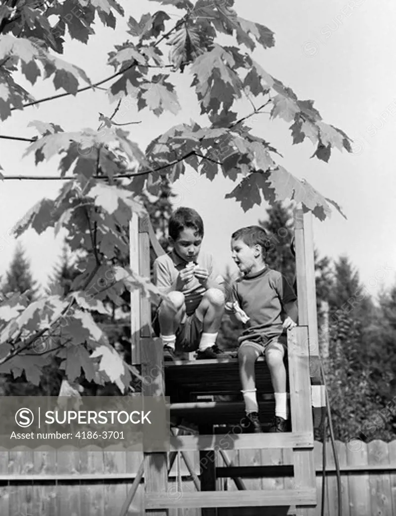 1960S 2 Boys In Tree House