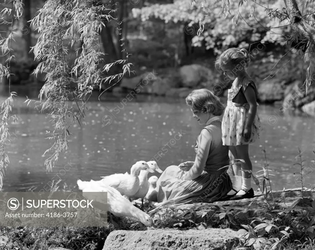 1950S Mother And Daughter By Pond Feeding Geese Mother Sits Daughter Stands Behind Her Spring Summer Moody Nature