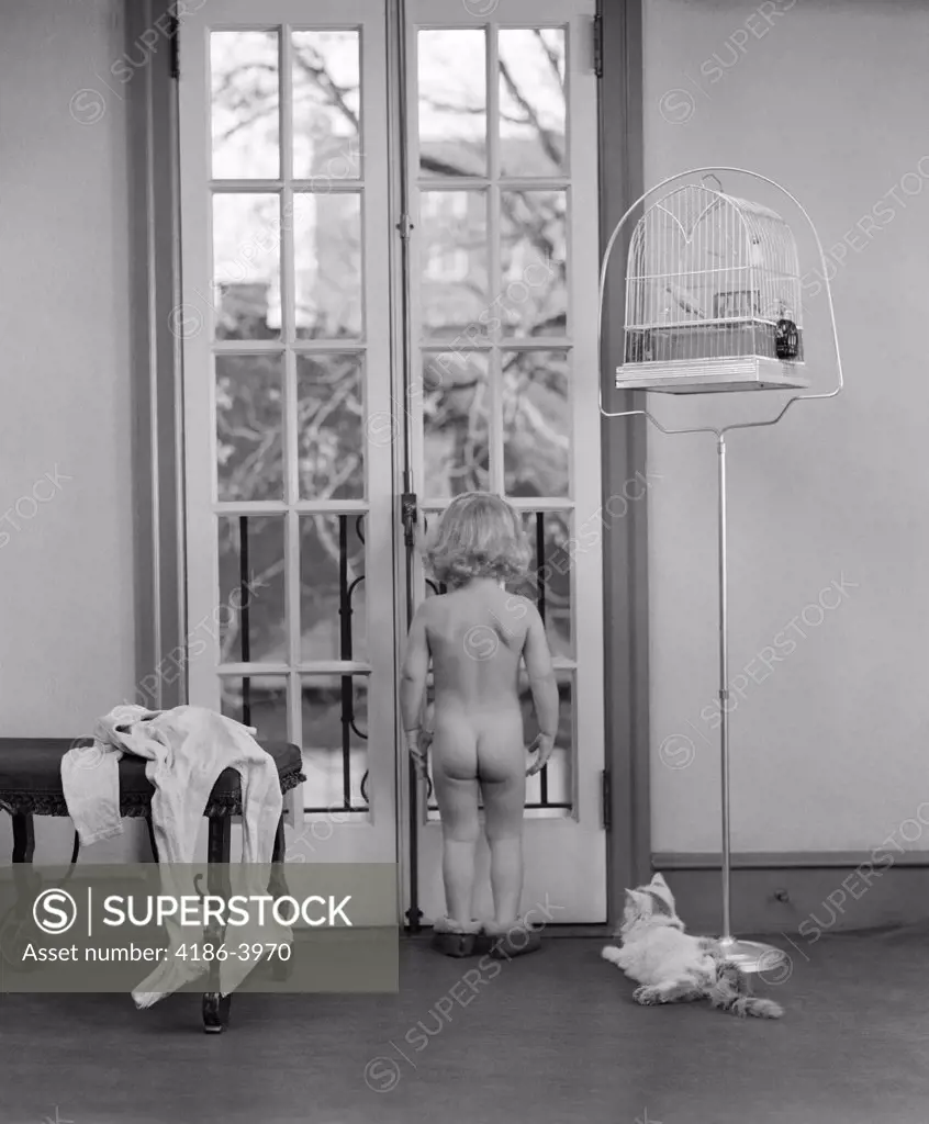 1950S Young Girl Nude Back To Camera Facing Out Window Clothes Beside Her Cat And Bird In Birdcage Next To Her