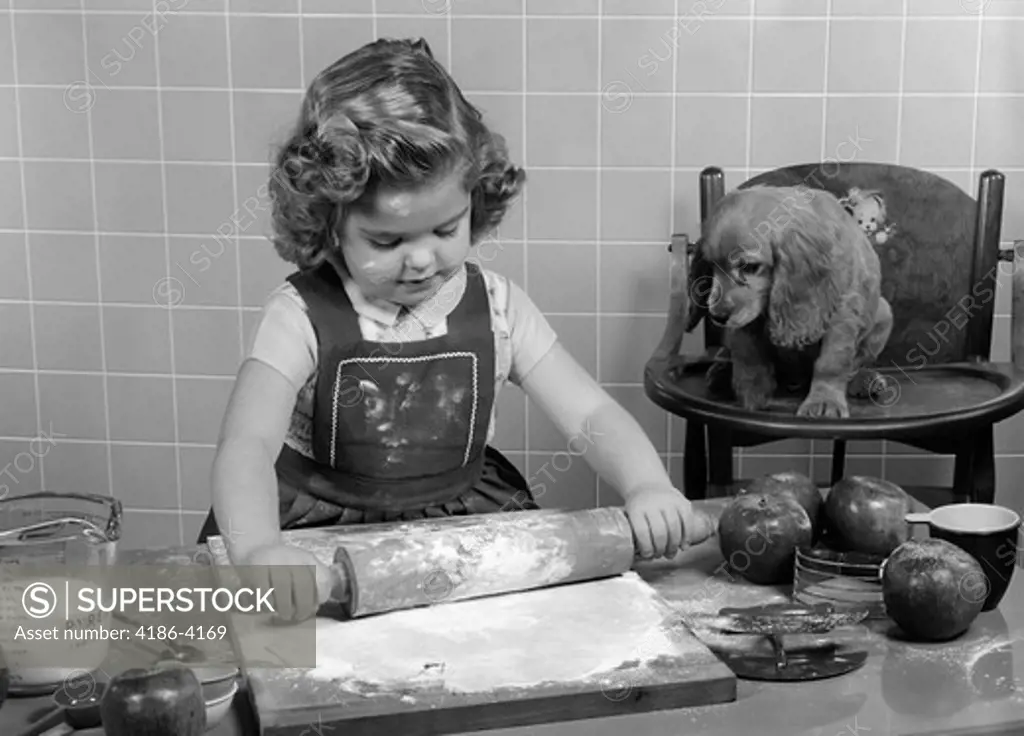 1950S Little Girl Chef Cooking Baking Rolling Out Apple Pie Crust On Kitchen Table With Cocker Spaniel Puppy Dog Watching Indoor