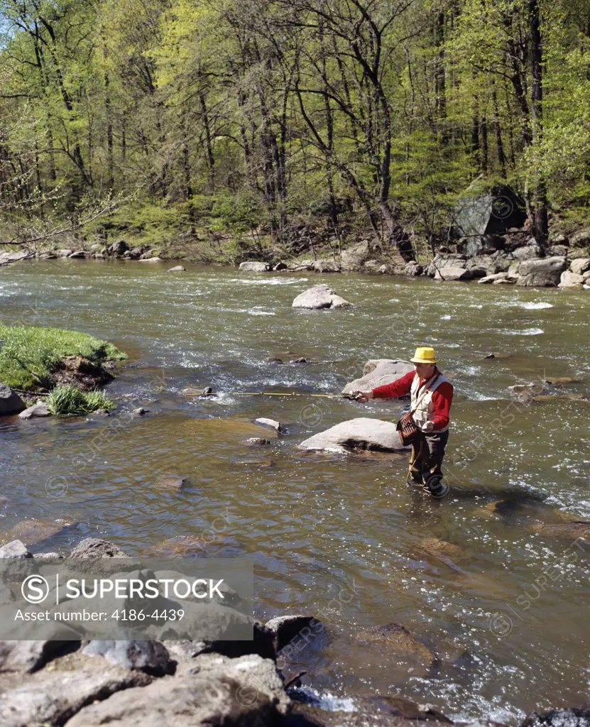 1970S Man Fly Fishing In Stream Wearing Rubber Waders