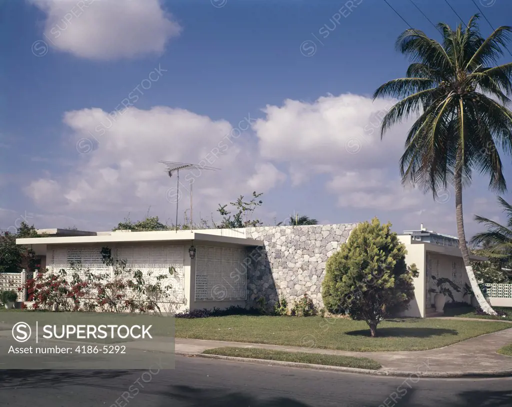 1970S Puerto Rico House And Palm Tree
