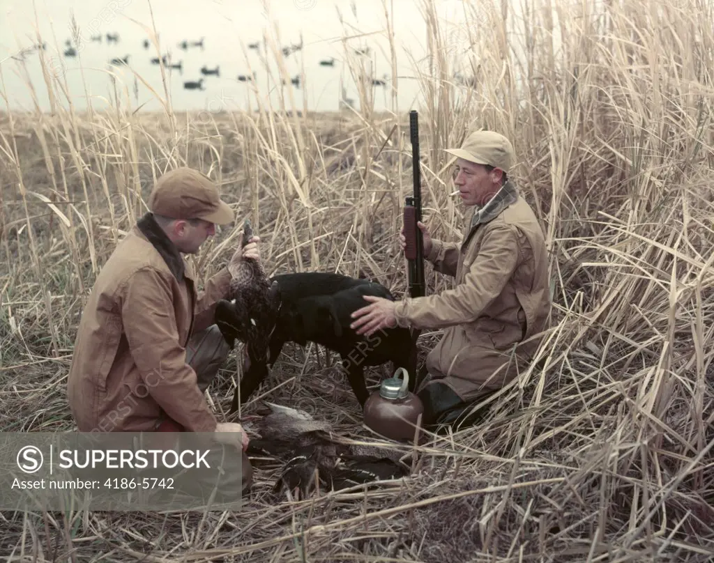 1950S Two Men Black Dog Retriever In Tall Grass Reeds At Edge Of Lake Duck Decoys Autumn Water Fowl Sport
