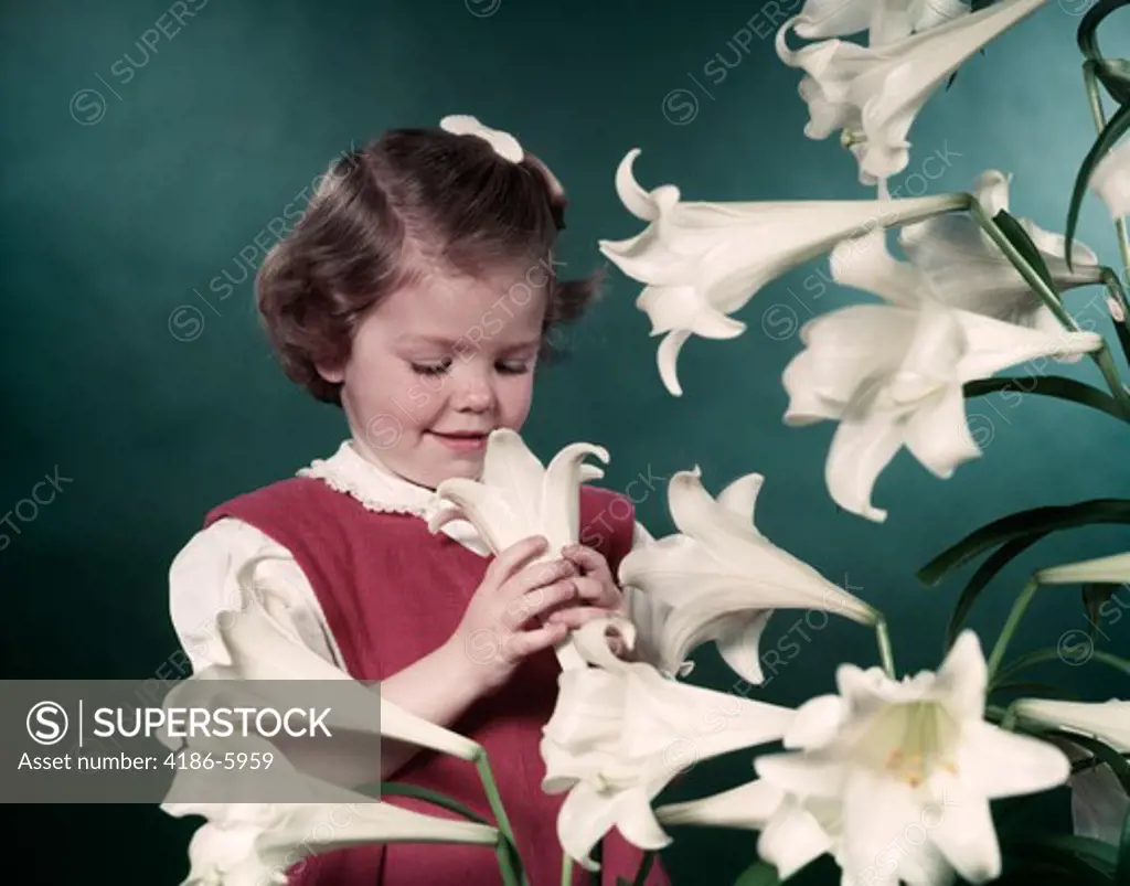 1950S Smiling Little Girl Holding Smelling Looking At Easter Lily Flowers