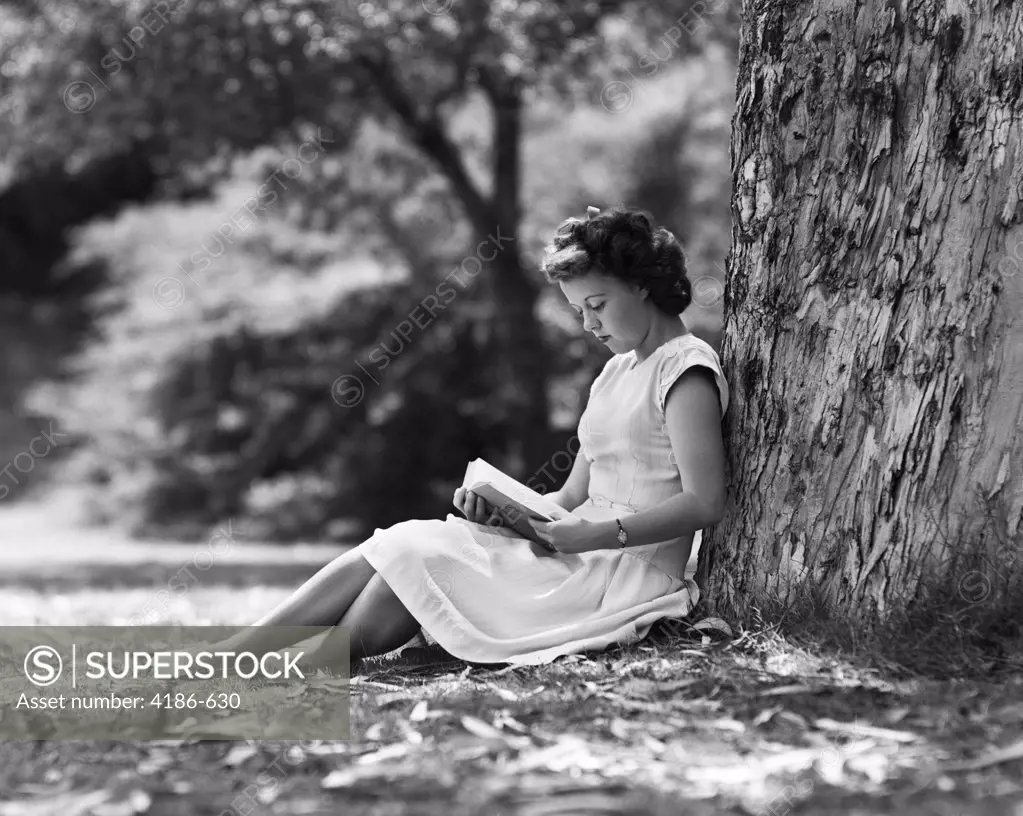 1950S Young Woman Reading Book Sitting Under Tree