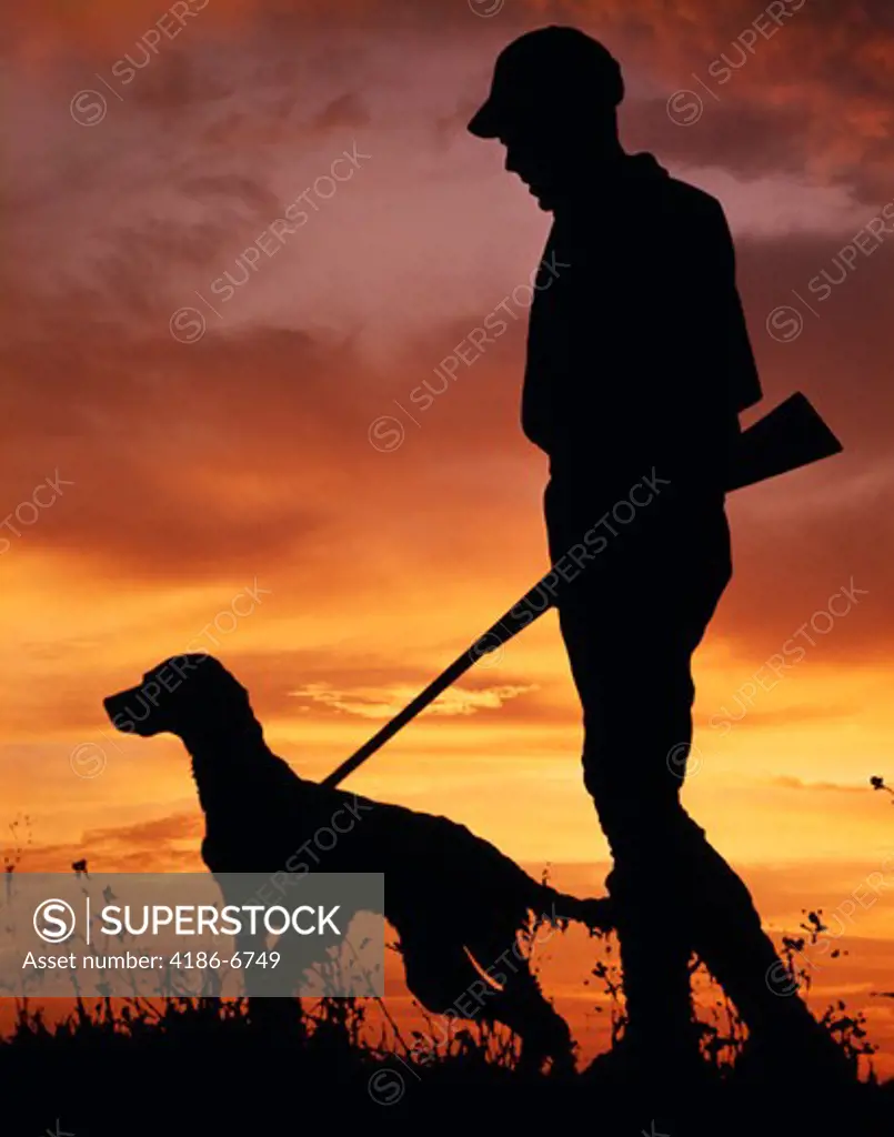 1960S Silhouette Of Man Hunter With Shotgun And English Setter Dog In Sunset