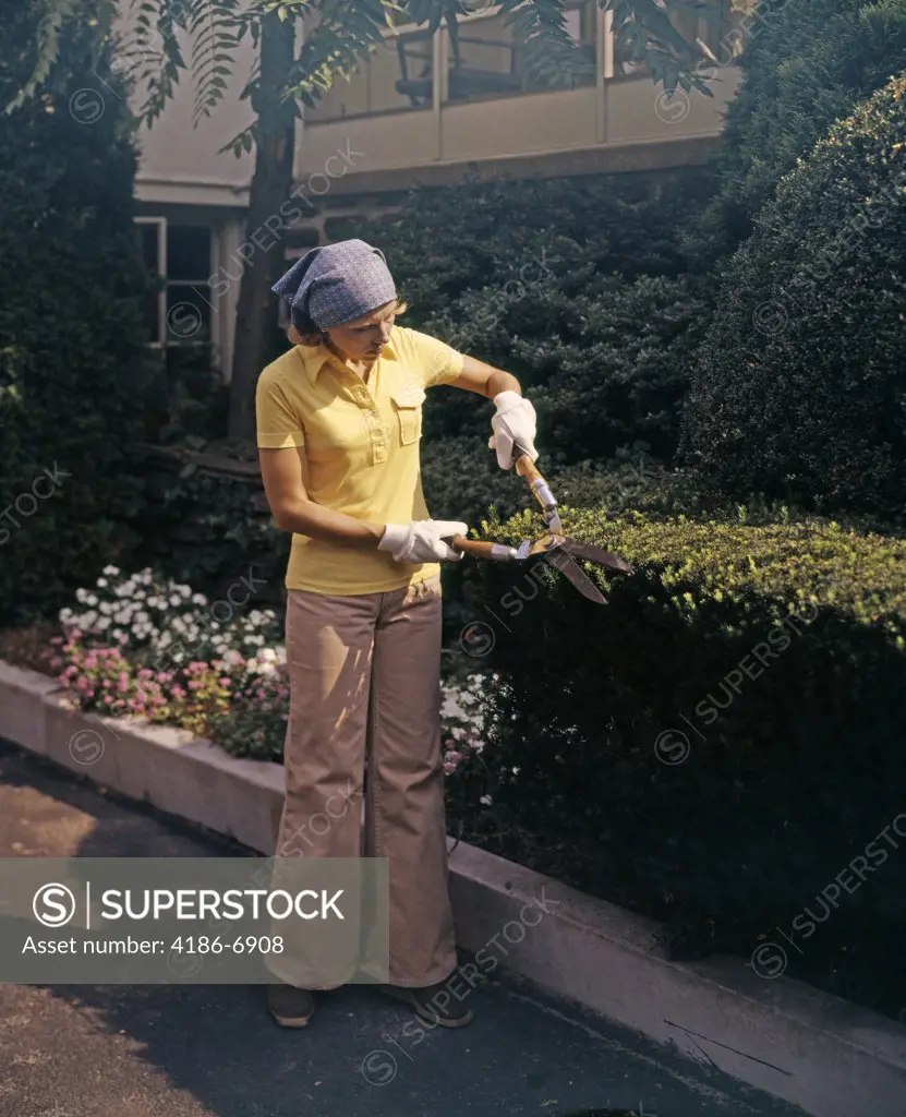 1970S Woman Using Garden Clippers Trimming Boxwood Hedge Wearing Bellbottoms
