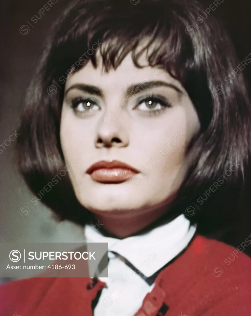 1960S Portrait Of Actress Sophia Loren Publicity Still