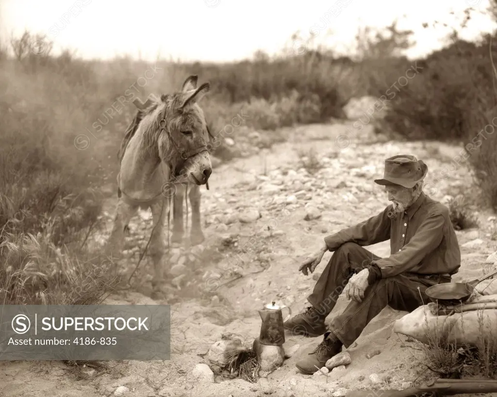 1920S Old Prospector Cooking Over Campfire