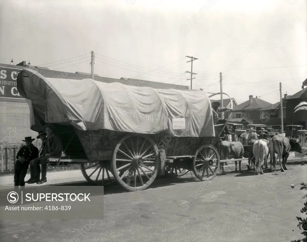 1920S Ox Drawn Conestoga Covered Wagon Parked Along Street