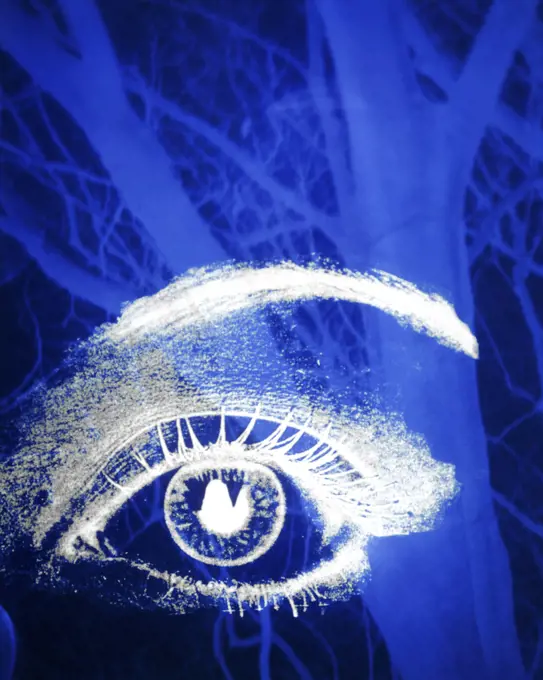 1970s WHITE AND BLUE COLOR GRAPHIC ILLUSTRATION OF HUMAN EYE AND EYE BROW COMBINED WITH FORKED HEAVY BRANCHES OF MATURE TREE