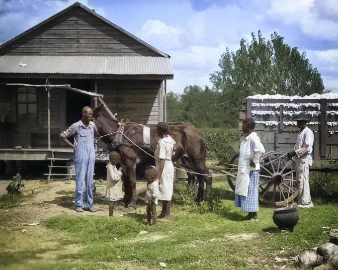1930s AFRICAN AMERICAN SHARECROPPING TENANT FARM FAMILY OUTSIDE THEIR HOME WITH MULE DRAW WAGON OF PICKED COTTON MISSISSIPPI USA