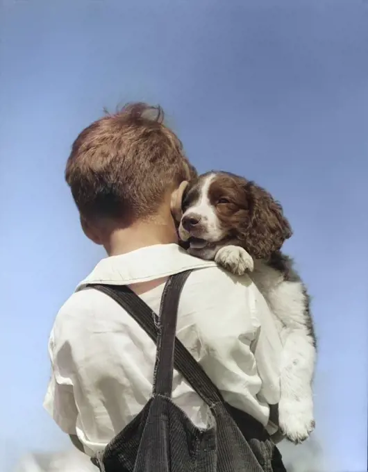 1930s 1940s BACK VIEW OF BOY IN CORDUROY OVERALLS HOLDING SPRINGER SPANIEL PUPPY
