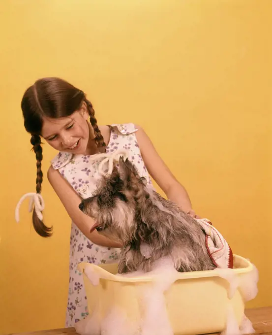 1960s 1970s LAUGHING GIRL IN PIGTAILS GIVING PET TERRIER DOG BATH IN YELLOW PLASTIC TUB