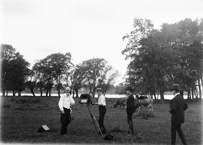 1890s 1900s MAN PHOTOGRAPHER USING LARGE FORMAT CAMERA PHOTOGRAPHING COWS IN FIELD WITH THREE TEENAGED BOYS ASSISTANTS