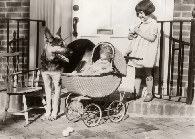 1920s SMILING LITTLE GIRL WATCHED BY GERMAN SHEPHERD DOG PLAYING WITH BABY DOLL IN TOY WICKER CARRIAGE OUTSIDE FRONT DOOR
