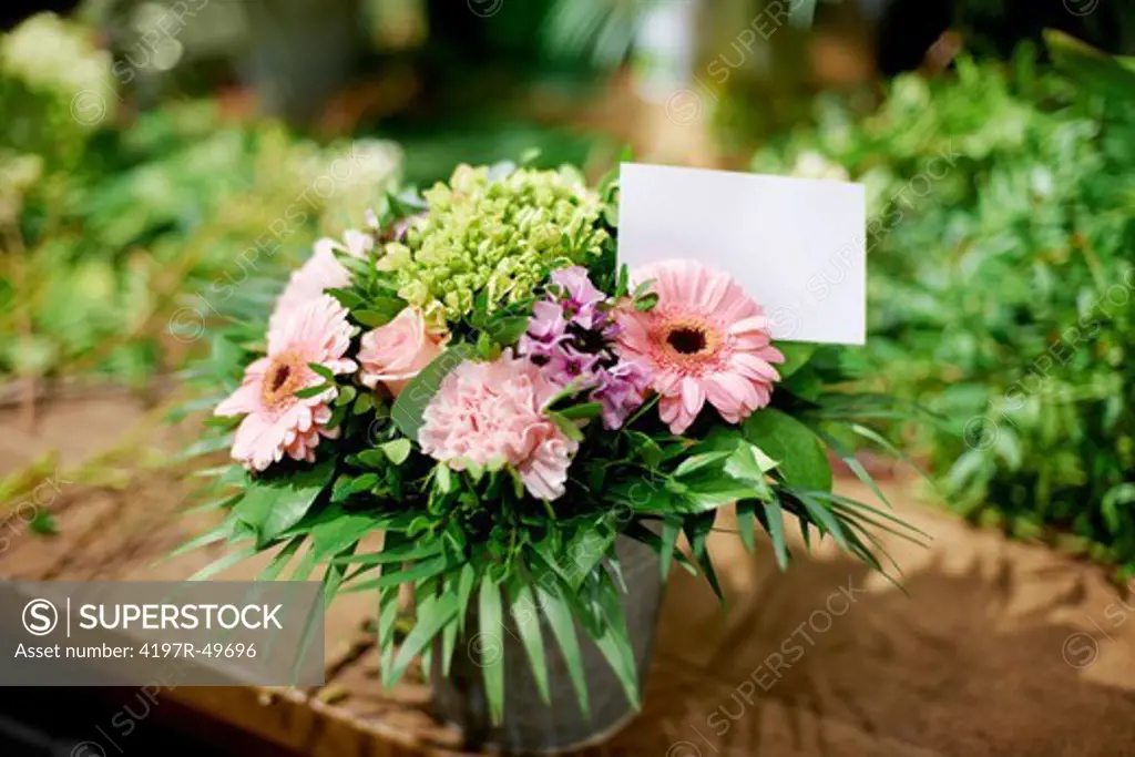 Closeup of a pretty potted flower arrangement and a card