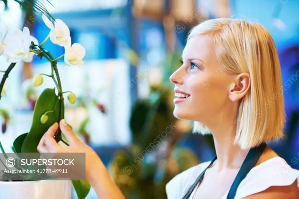 A young flower shop assistant cating for exotic flowers