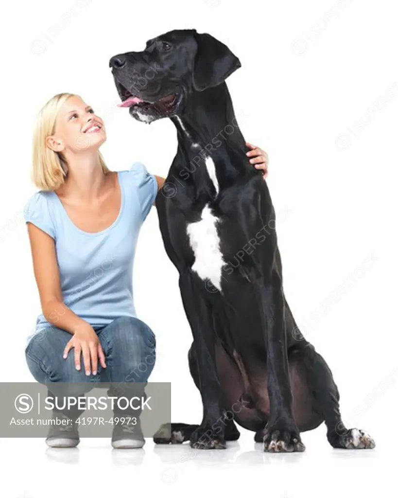 Cute young woman crouching alongside her great dane and smiling - isolated on white