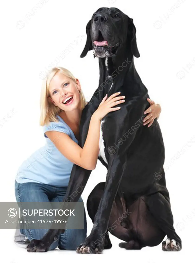 Cute young pet owner sitting alongside her great dane and laughing while isolated on white - portrait