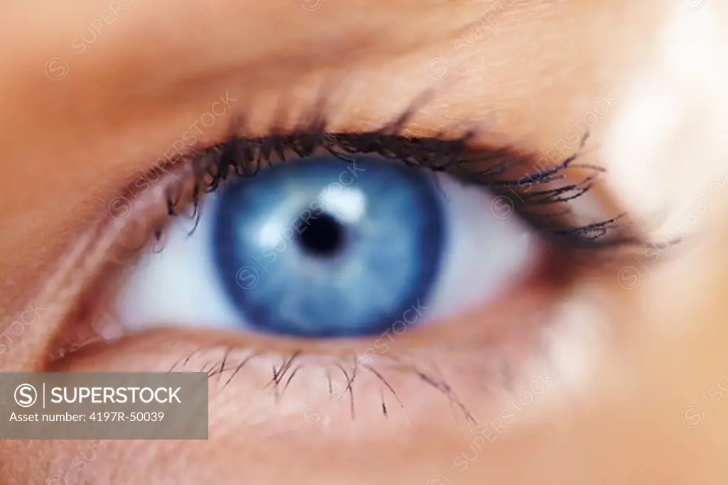 Macro image of a stunning blue eye with focus on her eyelashes with mascara applied