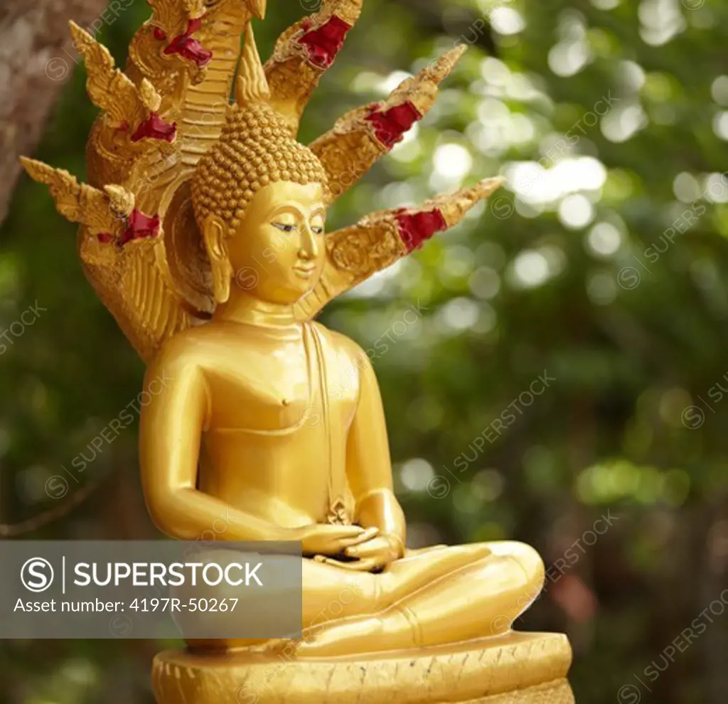 Golden Buddha with a background of greenery