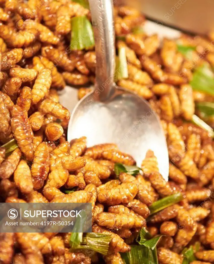 Fried larvae at a street market in Thailand