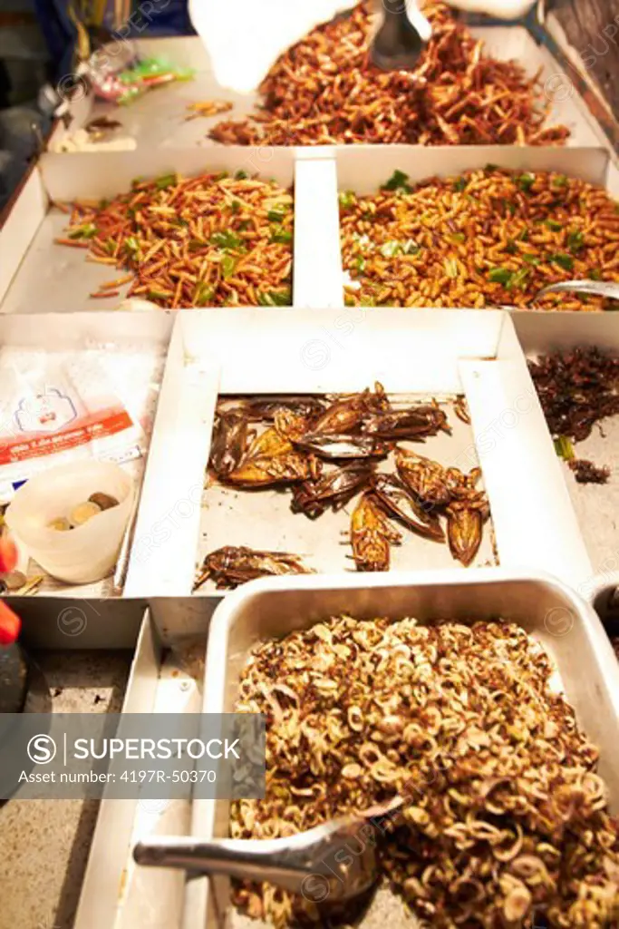 Assortment of fried insect dishes at a Thai market