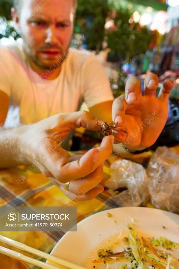 Tourist hesitantly tearing at the hind legs of a fried grasshopper