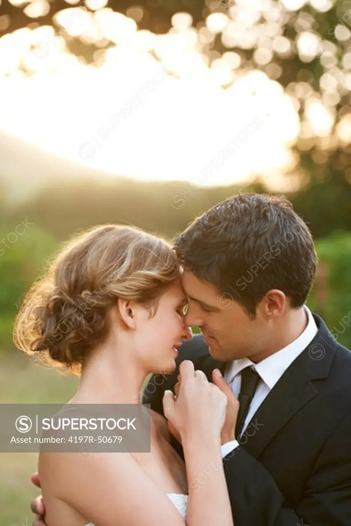 Gorgeous bride and groom with their faces close together standing outside while the sun is setting