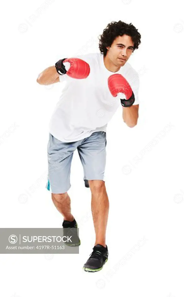 Portrait of a young boxer standing with his fists up