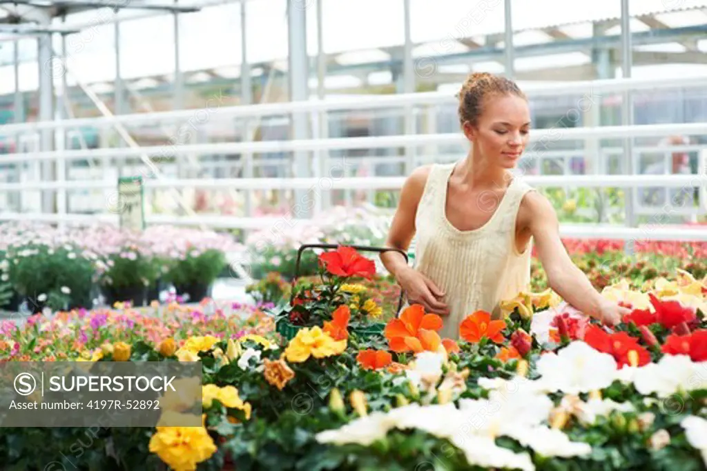 Copyspace- attractive young ethnic woman with surrounded by variety of flowers in nursery reaching out