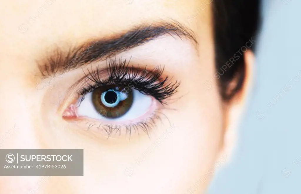 Close up bright shot of a brunette woman's eye