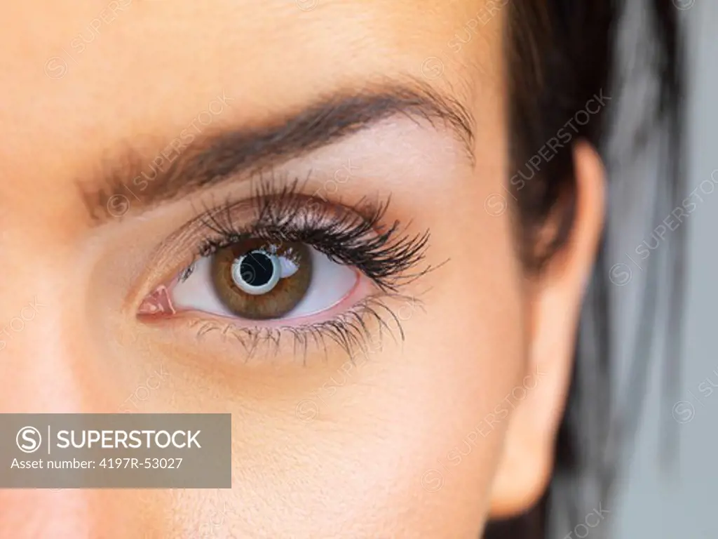 Close up shot of a brunette woman's eye