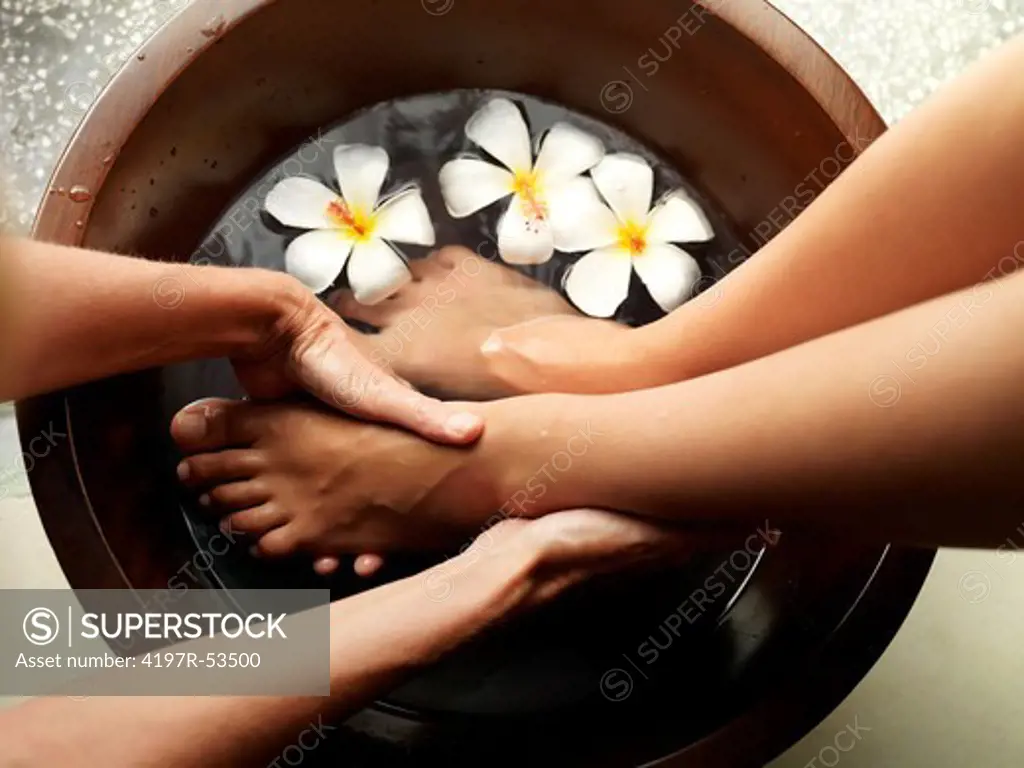 Female feet in foot bath with flowers getting pedicure