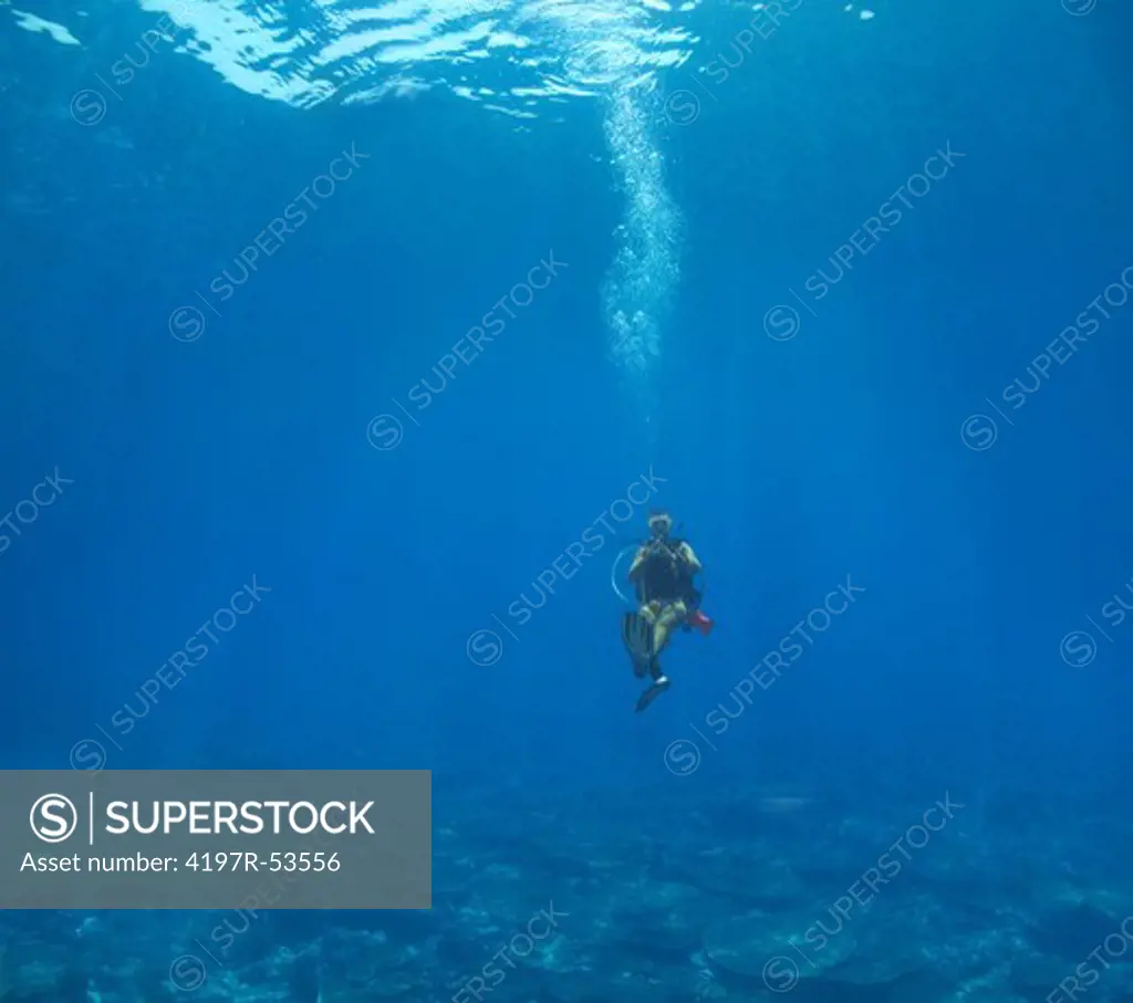 Young man in scuba gear floating above coral deep underwater - copyspace