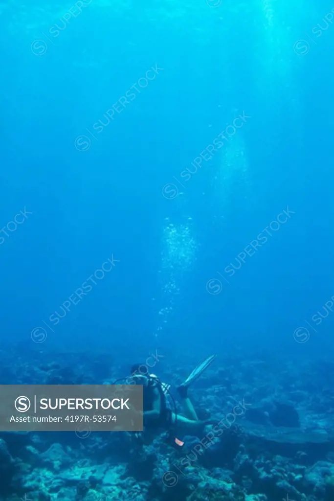 Young woman scuba diving underwater over a coral reef - copyspace