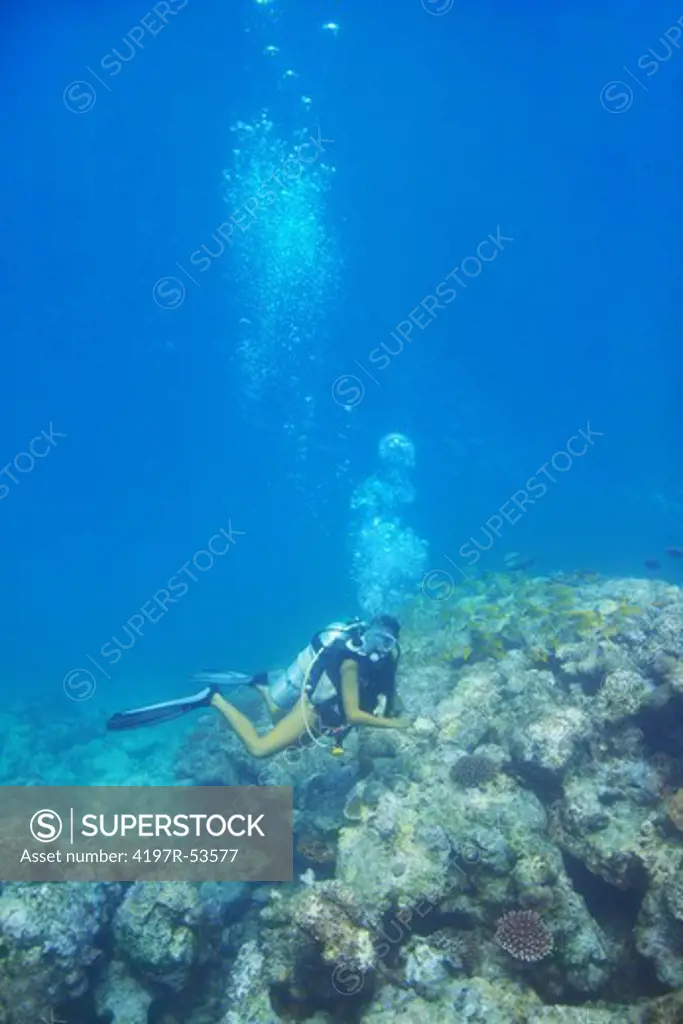 Young woman in scuba gear exploring a coral reef - copyspace