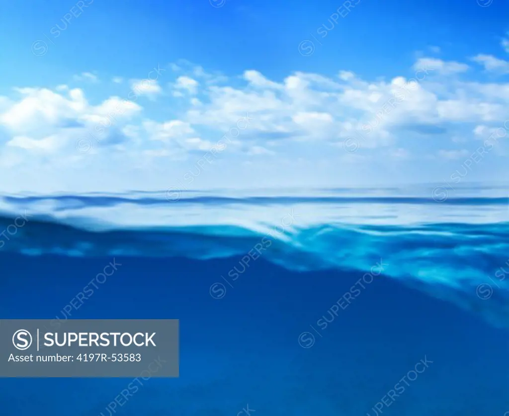 Cross-section of both underwater and the horizon above water - copyspace