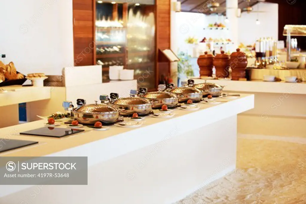 Catering industry - Serving dish at a hotel for buffet dinner