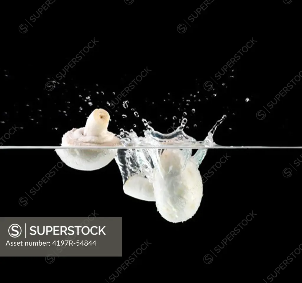 Two fresh mushrooms dropping into water creating a small splash
