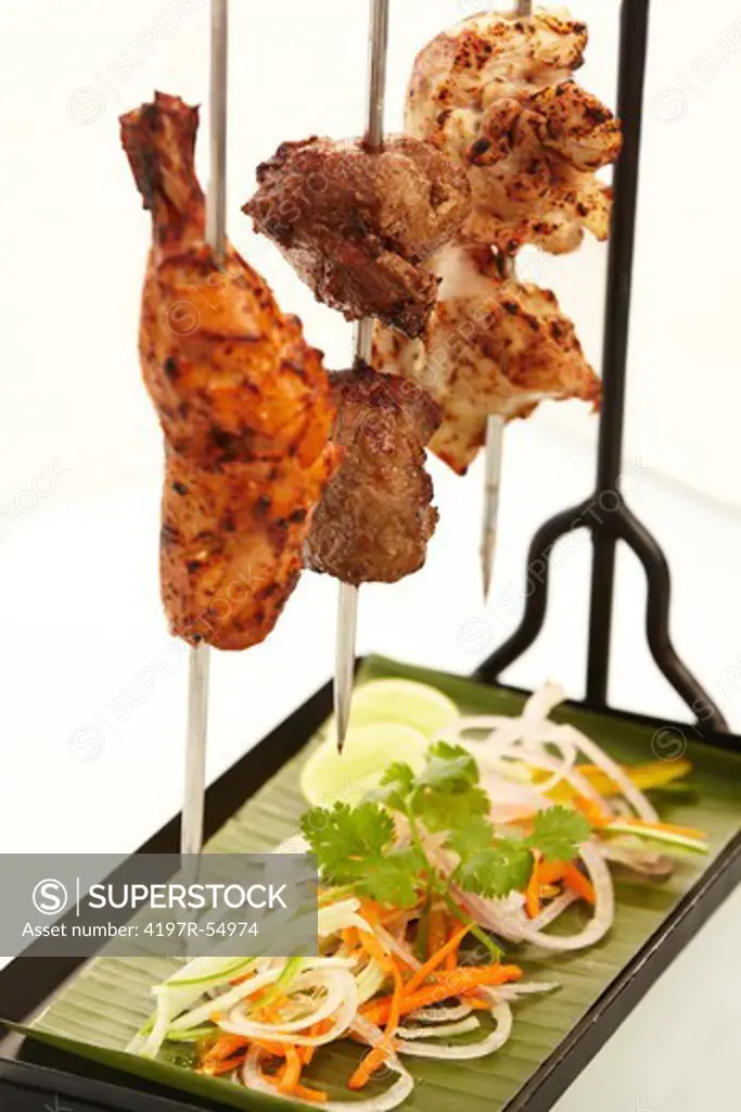 A close-up of an appetizing assortment of meat skewered above slivers of onion and assorted vegetables