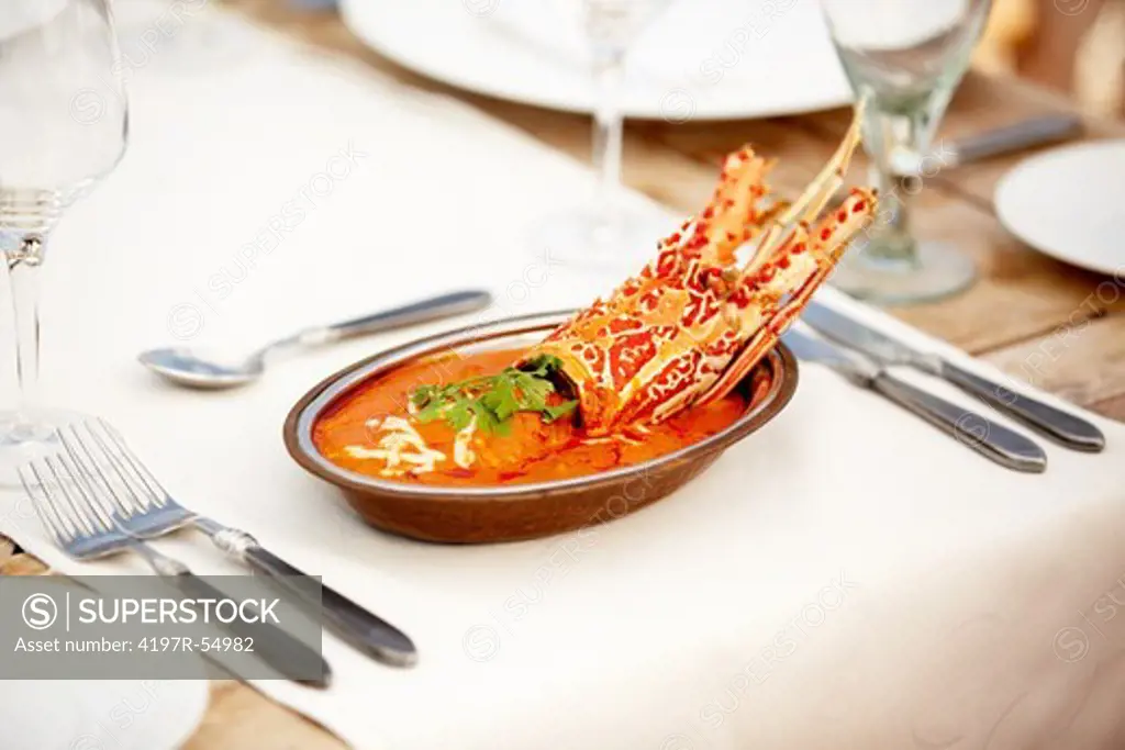 A succulent gourmet dish of crayfish bathed in a complimentary sauce sits invitingly before you