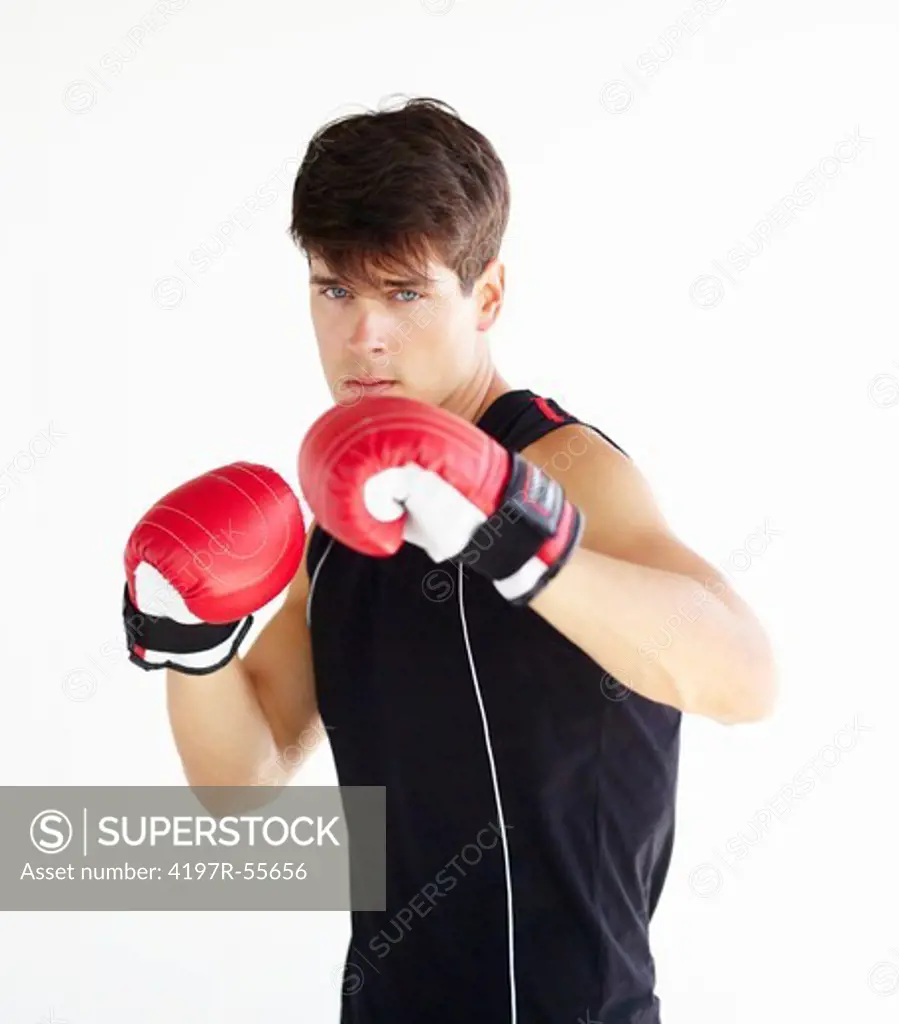 Young boxer with his fists up while wearing gloves and isolated on white - portrait